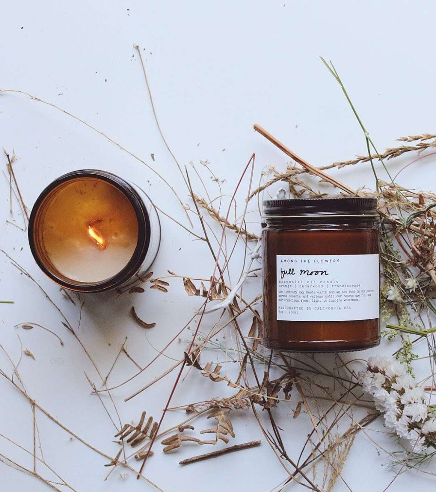 Home & Wellness Among The Flowers | Domes Palo Santo + Orange 9Oz Candle